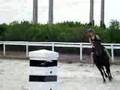 videos de BRIEANA  AND JUNIOR EIA RESCUE BAREBACK