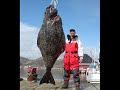 Yogi Yorgesson - Who Hid The Halibut On The Poop Deck?