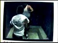 Summerfight