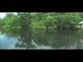 videos de fly fishing Belize