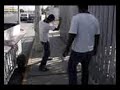 video de mausan