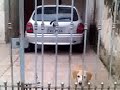 casa da minha avó