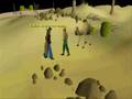 Tehnoobshow - Teh Desert