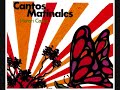 Tu Voz canta Merari Castro