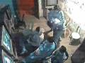 PELEA-DEL-ROBA-GATOS