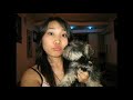 Schnauzer