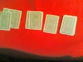 the 4 aces trick by rashid haddadin the 4 aces trick by rashid haddadin