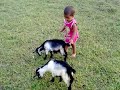 Takiyan