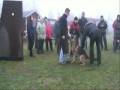 videos de Segerviljans Enzo skydd