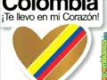 el diccionario verde