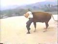 Shaolin Super Humans