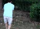 hamptons sting operation