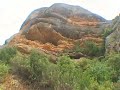 SEQUERA A CATALUNYA - PANT� DE MARGALEF -MAIG 2008