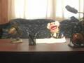 Presidential Pigboat Episode One