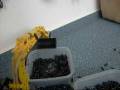 Lego 8294 Excavator Yellow with Pneumatic