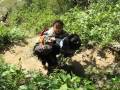 Vietnam travel, Vietnam trekking, trekking in Vietnam, Trekking in Sapa : MoreFunVietnamTravel