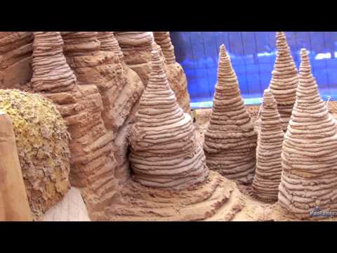 Фестиваль песчаных скульптур на пляже Петропавловской крепости