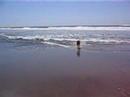 Still more dash at the beach