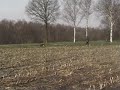 Vando  Tracking