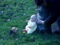 videos de JeRisabo preview of the making of Leeuwtje vs Baby Born