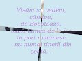 Joc de Boboteaza, la Vistea de Jos - Tara Fagarasului Manele-Gratis.net