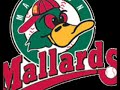 Madison Mallards vs. Green Bay Bullfrogs - 6/28/08 Madison Mallards vs. Green Bay Bullfrogs - 6/28/08