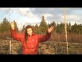 oh christmas tree daily dance