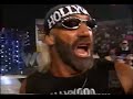 Sting/nWo