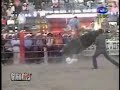 los toros destructores en el relicario de morelia