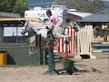 Max-A-Million jumping 3\ Max-A-Million jumping 3\