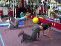 Arms, Abs, Butt and Leg exercise routines & diets for Summer