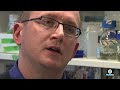 UPM Researchers Interviews. Jan Zouhar UPM Researcher at CBGP, Centre for Plants Biotechnology and Genomics UPM-INIA