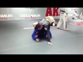 American Kickboxing Academy