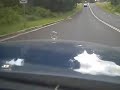 autistic in 560 sel gong to motel