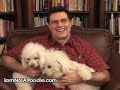 Bichon Frise Breeders