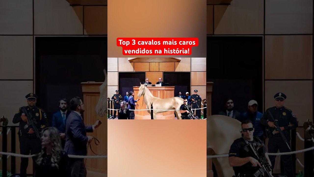 Top 3 Cavalos Mais Caros Já Vendidos Na História