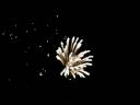 Fireworks - Skillet Fireworks - Skillet