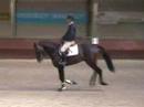 Z�lote VDL KWPN goedgekeurd 2007 verrichtingsonderzoek