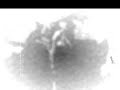Andr�geno - Estr�genos