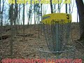 Big John's 6th Disc Golf Hole In One Video