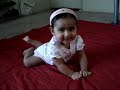 rasika spring rasika spring