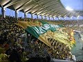 JEF-United-Chiba-fan