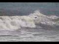 Billabong Surf Rats Satellite Beach, FL #2