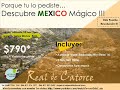 Cervantino Guanajuato 