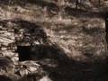 Who Built the Kettle Valley Railway?