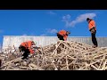 Architektur der Dachlatten.MP4