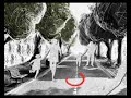 Cut Out Animation Opener by Maya Weksler