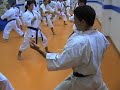CURSO SENSEI RAMON. ESC. KARATE SHOTOKAN S.PEDRO (MARBELLA)