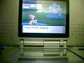 pokemon pearl EV training Tyranitar Atk
