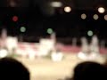 Ben Maher Winning the 2005 Olympia Puissance